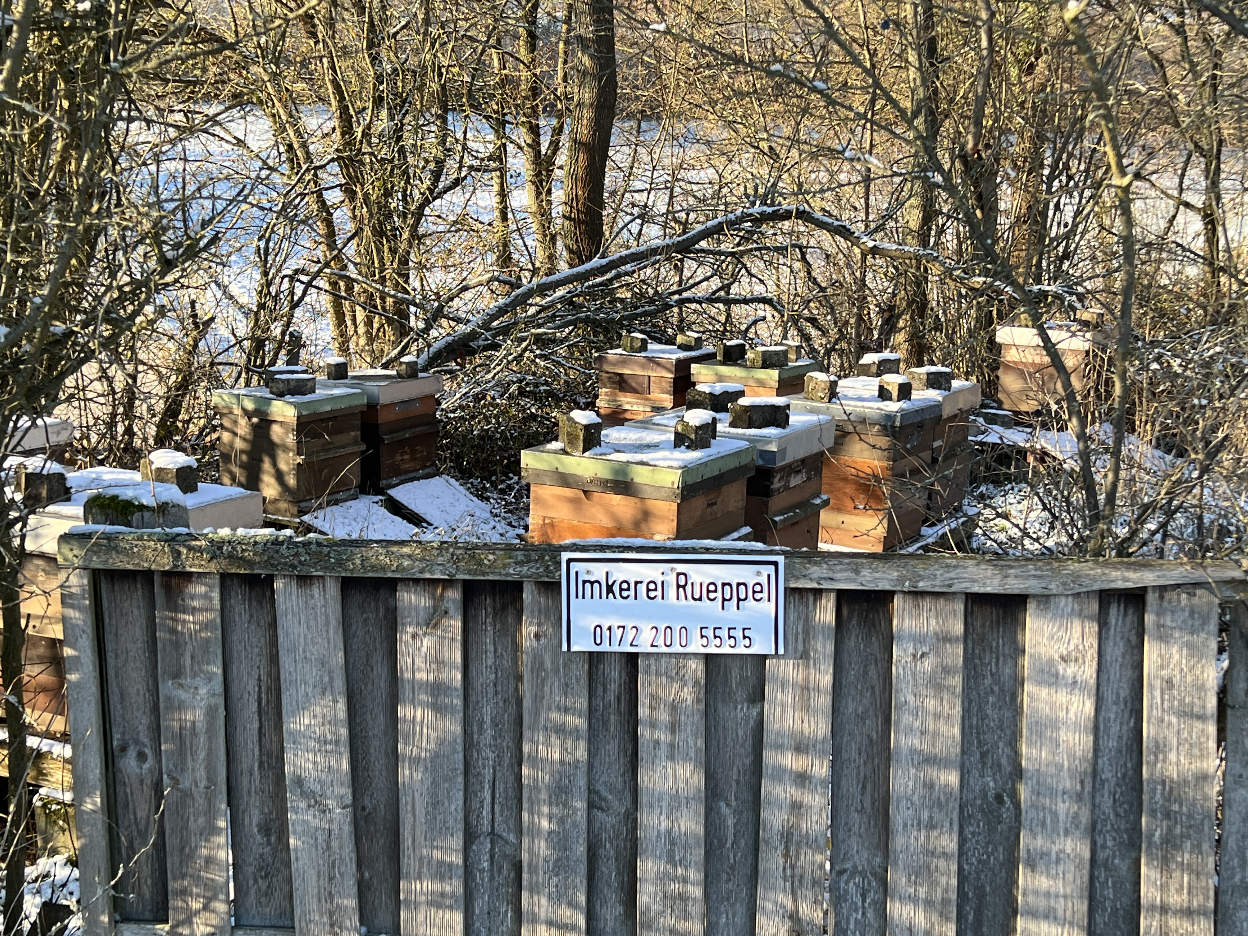 Bienenstöcke in Roringen