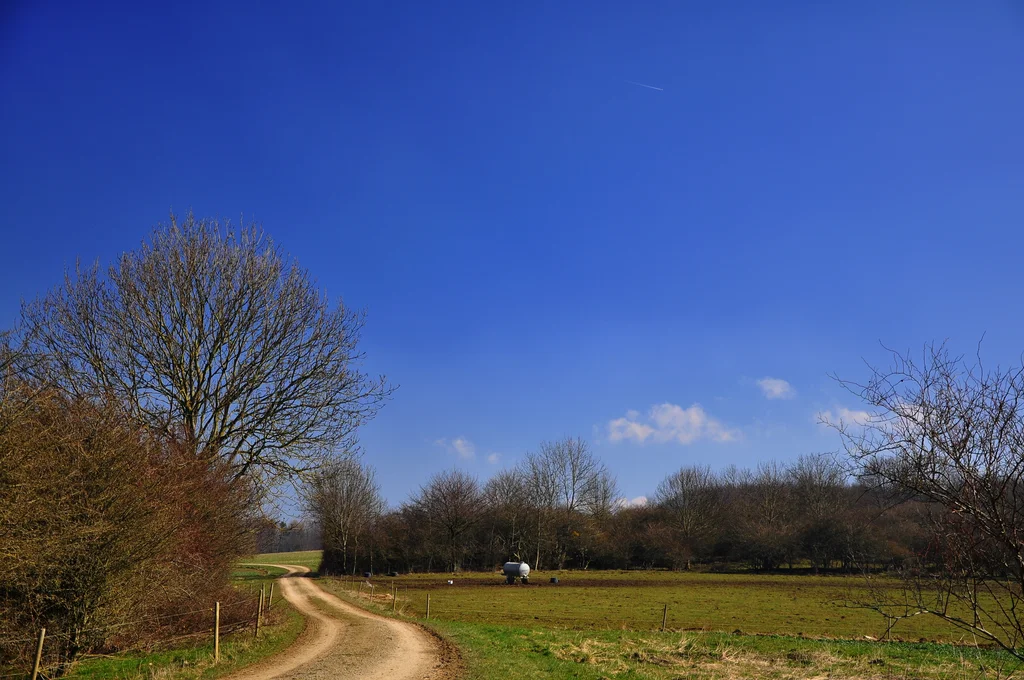 Feldweg bei Roringen unter weitem blauem Himmel